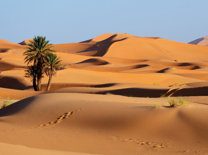 0010_Sahara-Wüste in Marokko - Alexmar Adobe Stock